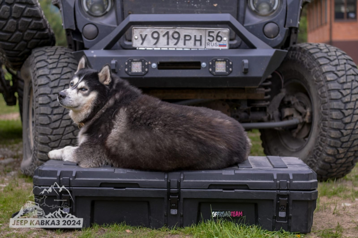 Кейс для Jeep Wrangler с установкой на багажник